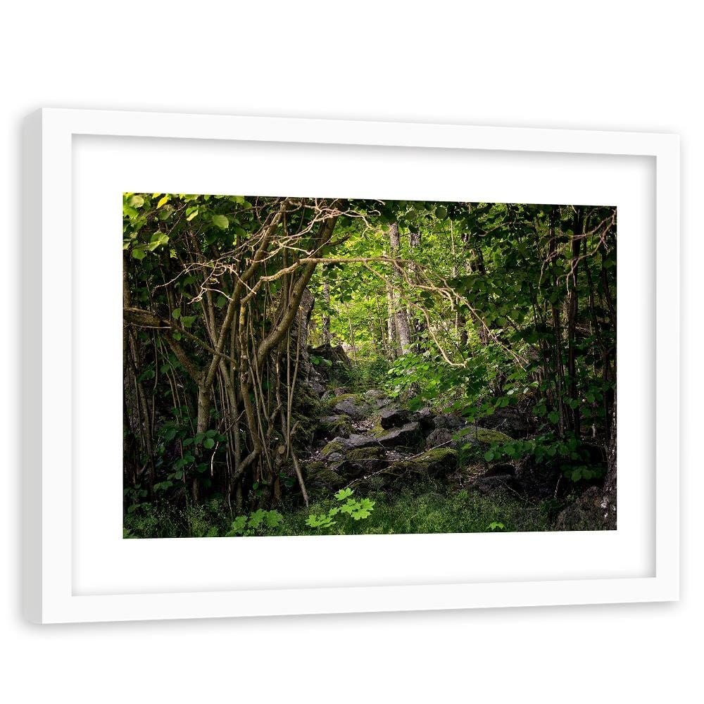 Glezna baltā rāmī - Stones In The Forest  Home Trends DECO
