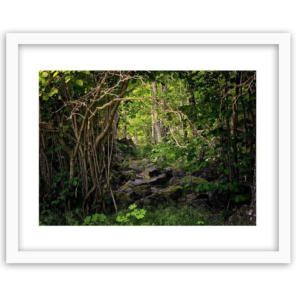 Glezna baltā rāmī - Stones In The Forest  Home Trends DECO
