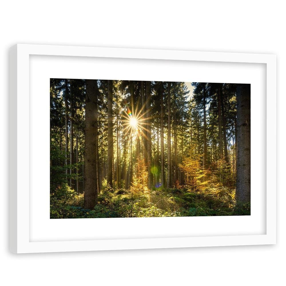 Glezna baltā rāmī - Sun In The Forest  Home Trends DECO