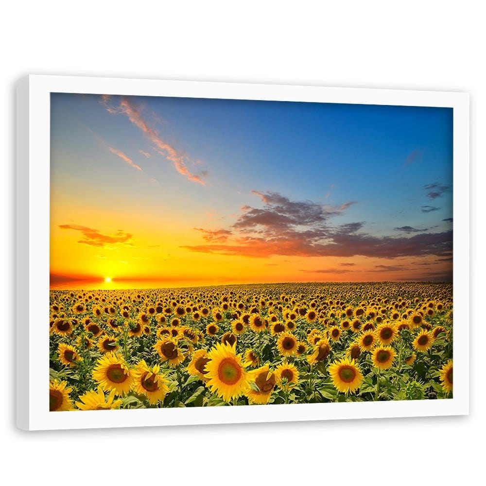 Glezna baltā rāmī - Sunflowers  Home Trends DECO