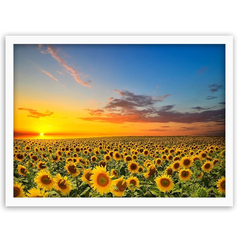 Glezna baltā rāmī - Sunflowers  Home Trends DECO