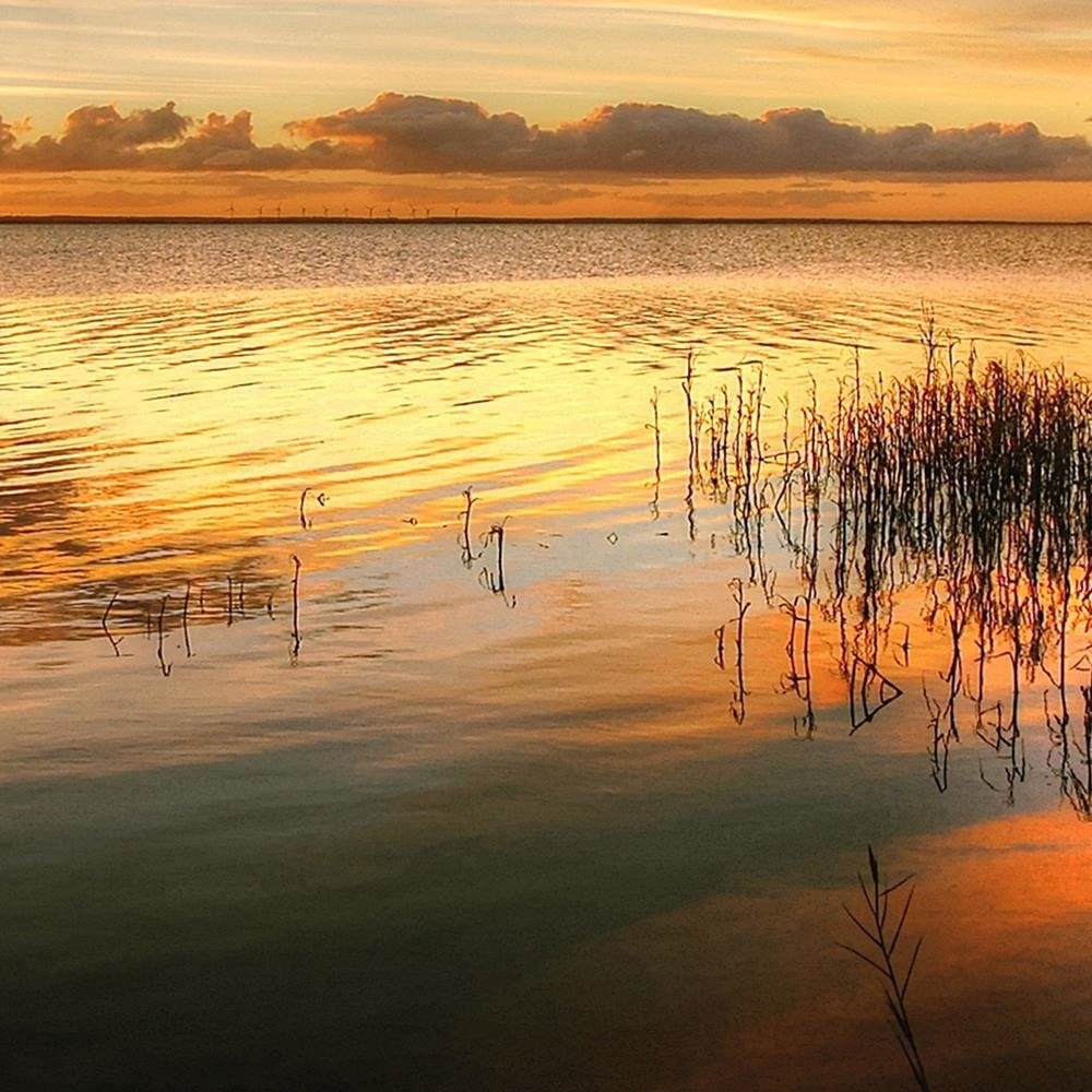 Glezna baltā rāmī - Sunset Over The Lake  Home Trends DECO