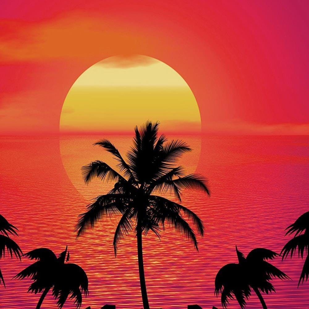 Glezna baltā rāmī - Sunset With Palm Trees 3  Home Trends DECO