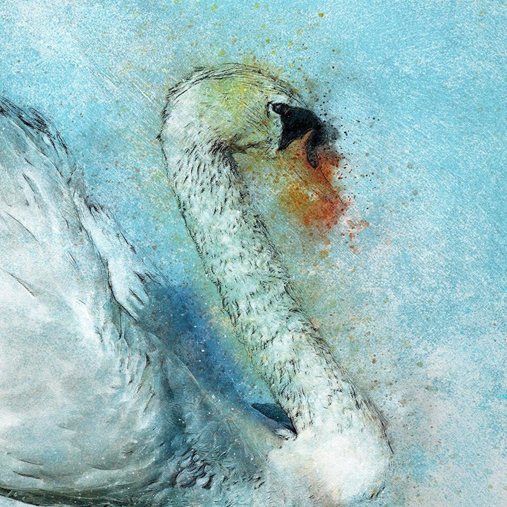 Glezna baltā rāmī - Swan And Ballerina  Home Trends DECO