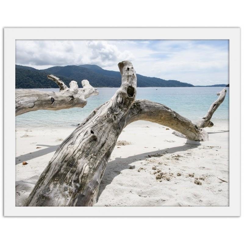 Glezna baltā rāmī - The branches of a tree on a tropical beach  Home Trends DECO