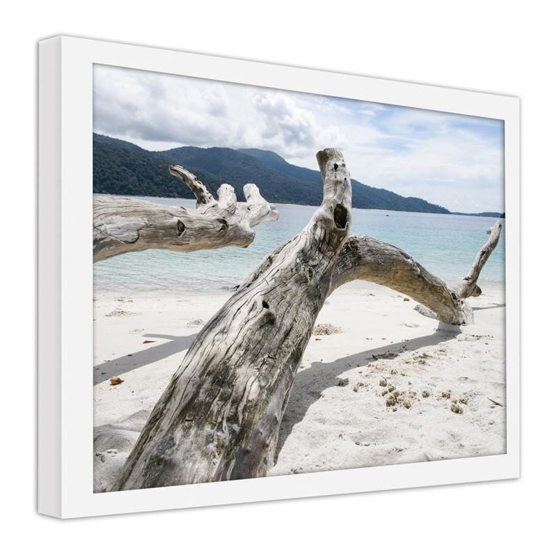 Glezna baltā rāmī - The branches of a tree on a tropical beach  Home Trends DECO