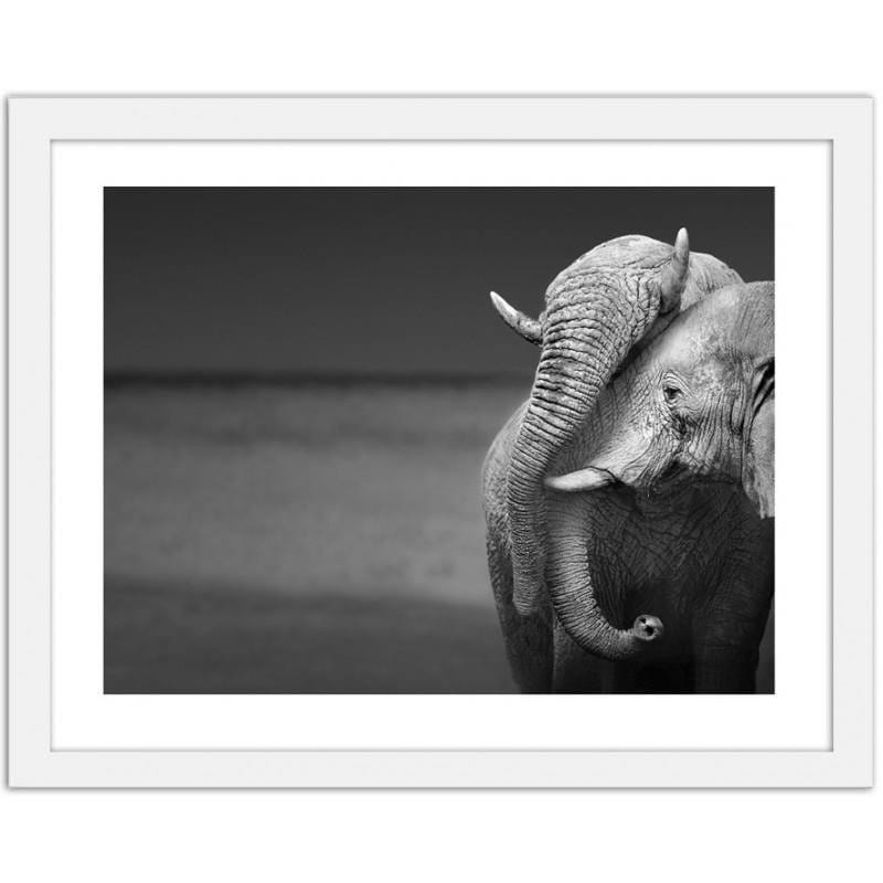 Glezna baltā rāmī - The elephant family  Home Trends DECO