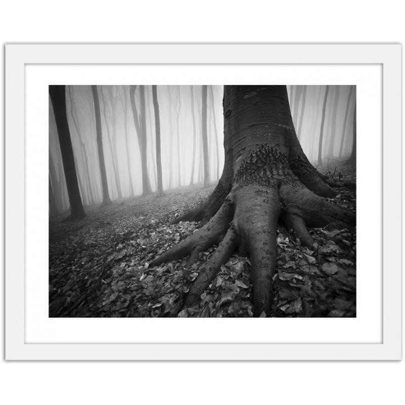 Glezna baltā rāmī - The forest in the fog  Home Trends DECO