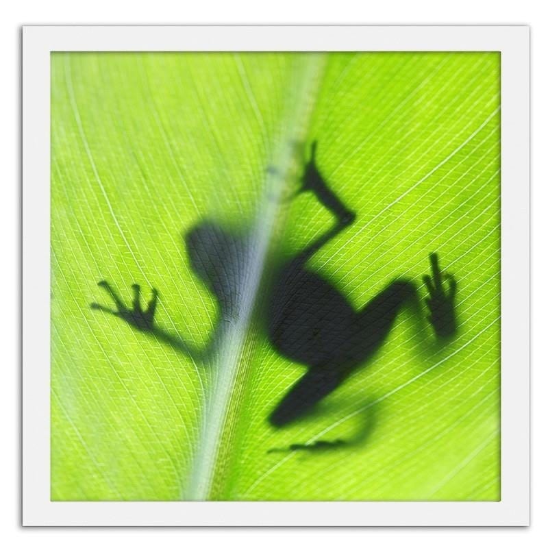 Glezna baltā rāmī - The frog on the green leaf  Home Trends DECO