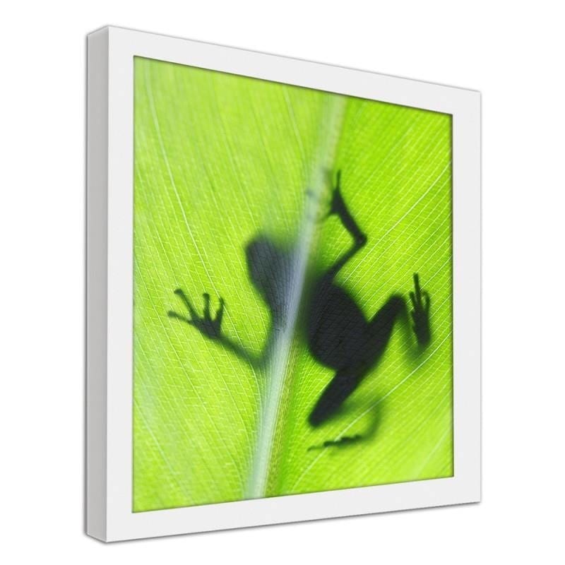 Glezna baltā rāmī - The frog on the green leaf  Home Trends DECO