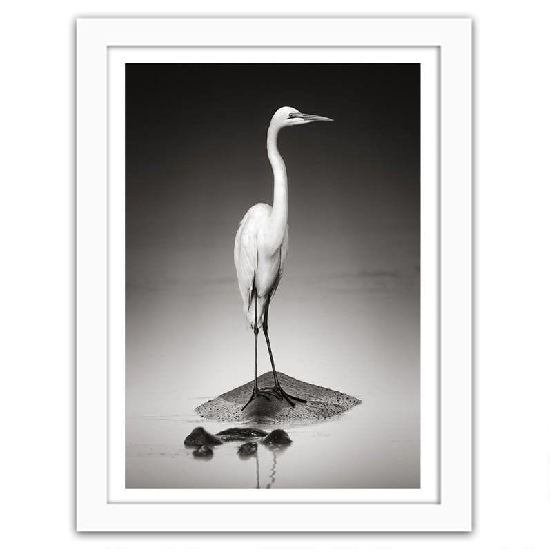 Glezna baltā rāmī - The heron on the hippopotamus  Home Trends DECO