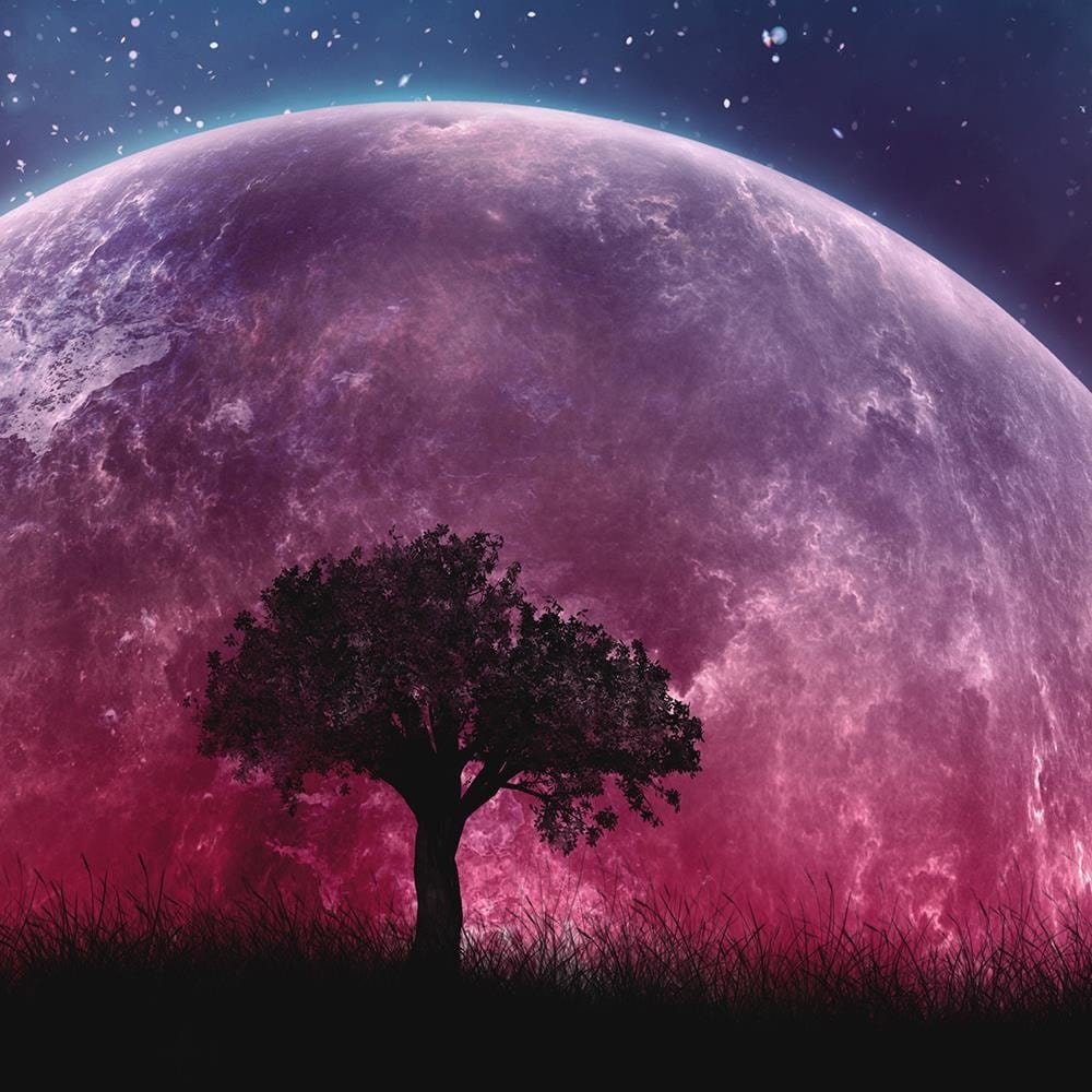Glezna baltā rāmī - The Huge Moon Behind A Tree  Home Trends DECO