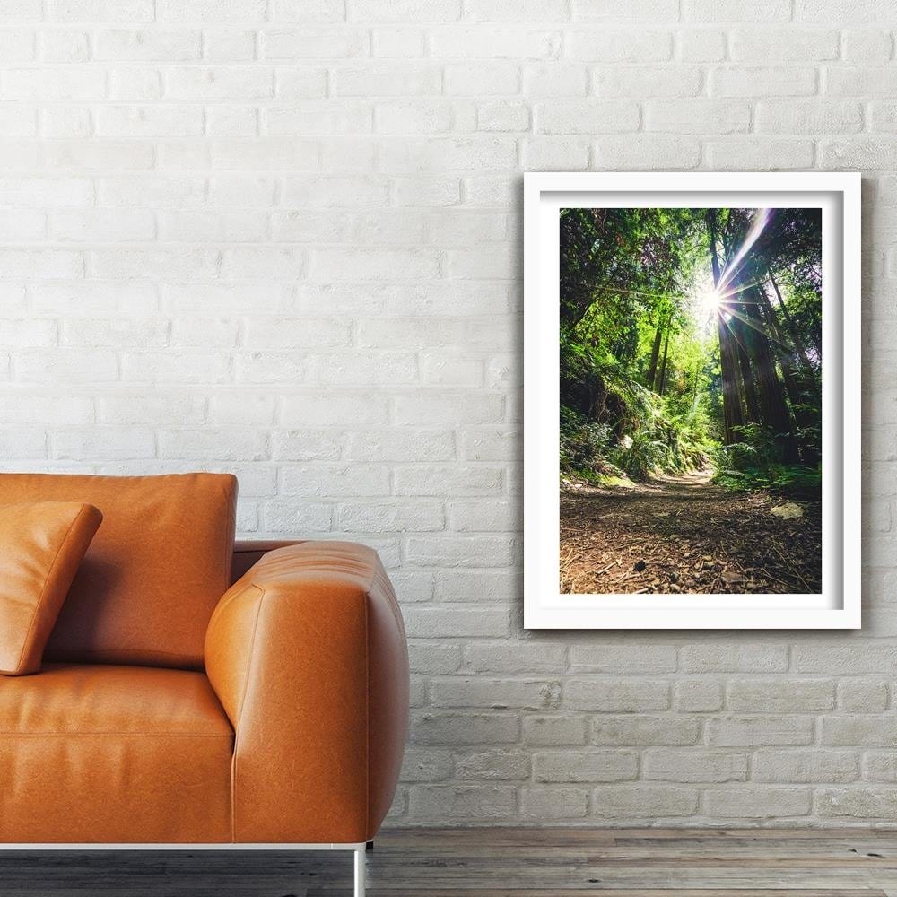 Glezna baltā rāmī - The Path In The Jungle  Home Trends DECO