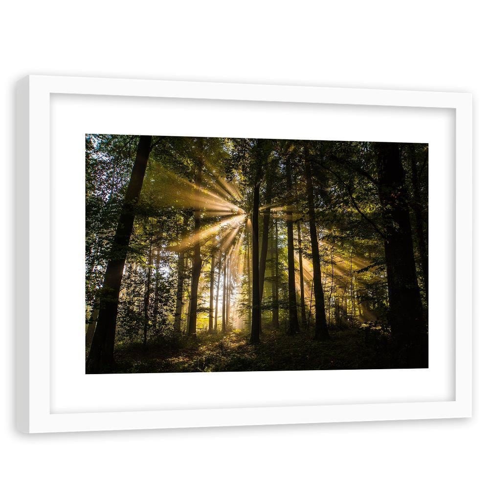 Glezna baltā rāmī - The Rays Of The Sun In A Dark Forest  Home Trends DECO