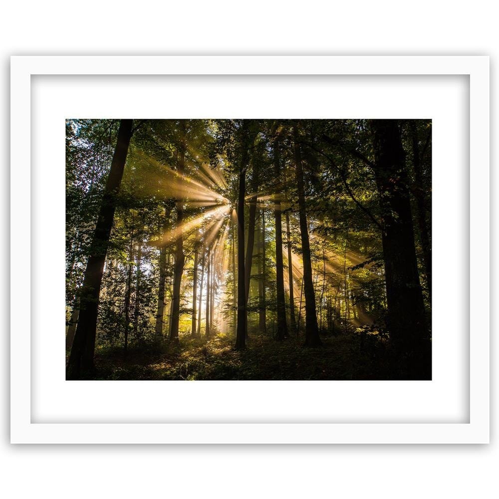 Glezna baltā rāmī - The Rays Of The Sun In A Dark Forest  Home Trends DECO