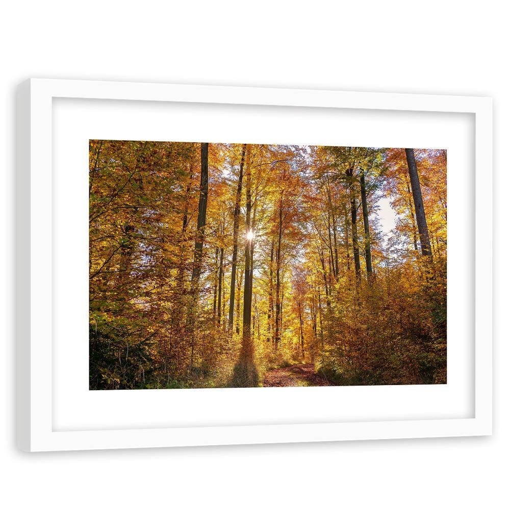 Glezna baltā rāmī - The Rays Of The Sun In The Forest  Home Trends DECO