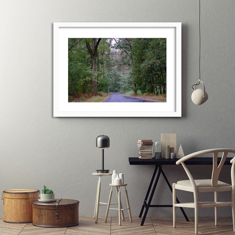 Glezna baltā rāmī - The Road Through The Forest  Home Trends DECO