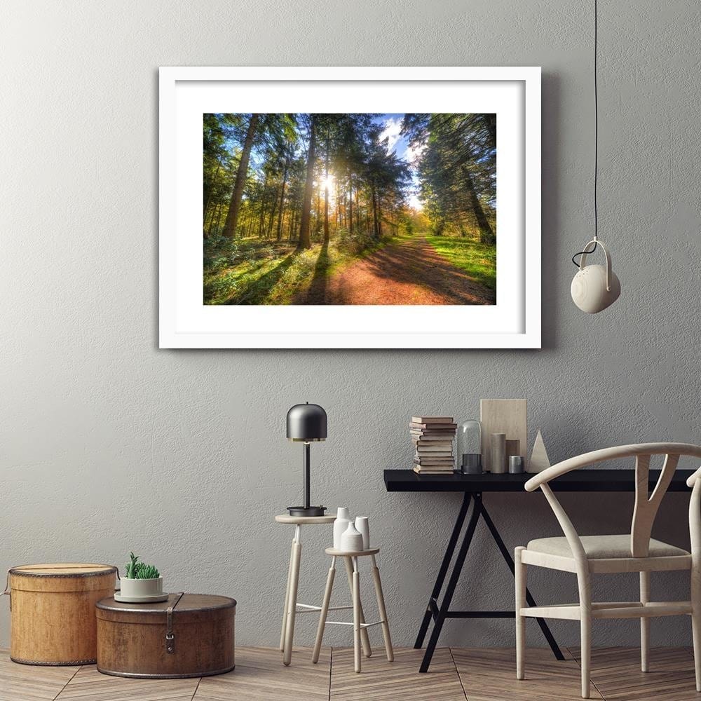 Glezna baltā rāmī - The Sun Among The Trees  Home Trends DECO