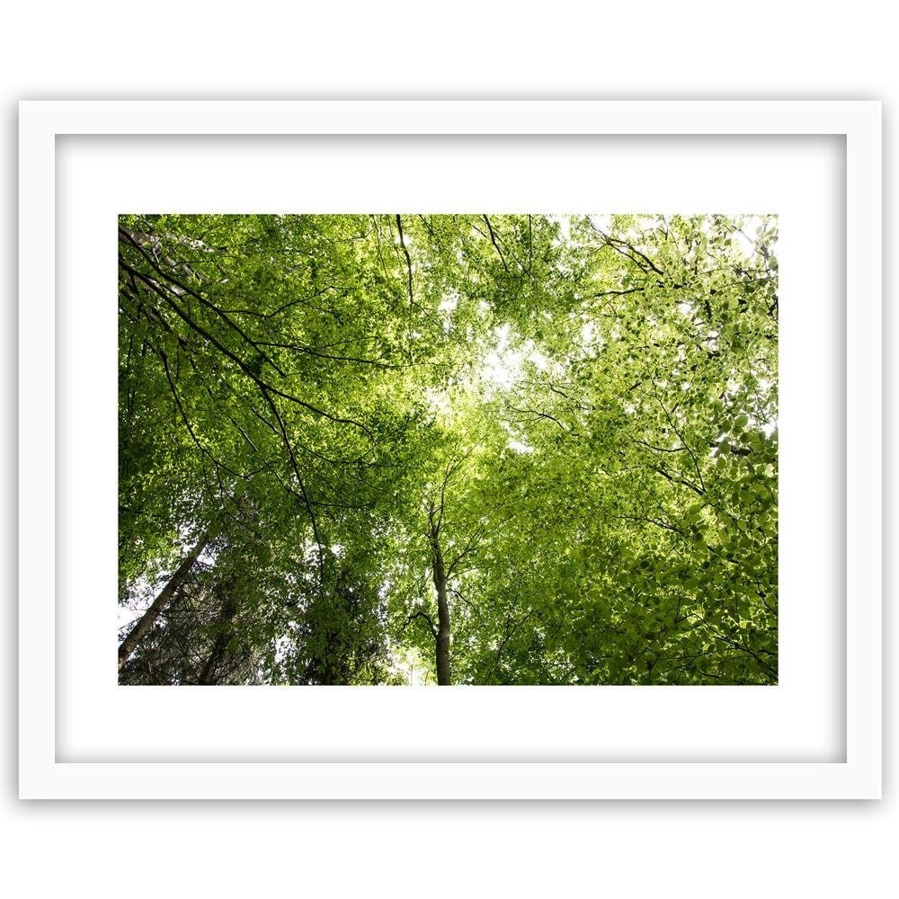 Glezna baltā rāmī - The Tops Of Green Trees  Home Trends DECO