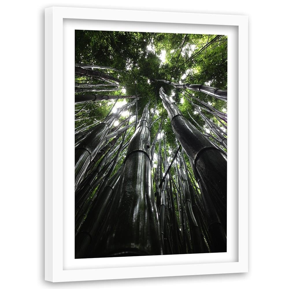 Glezna baltā rāmī - The Tops Of Tall Trees  Home Trends DECO
