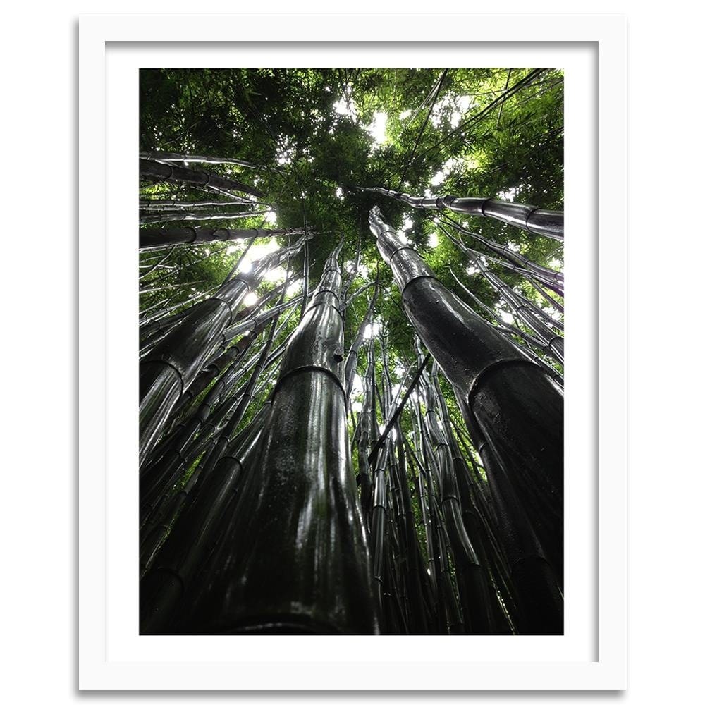 Glezna baltā rāmī - The Tops Of Tall Trees  Home Trends DECO