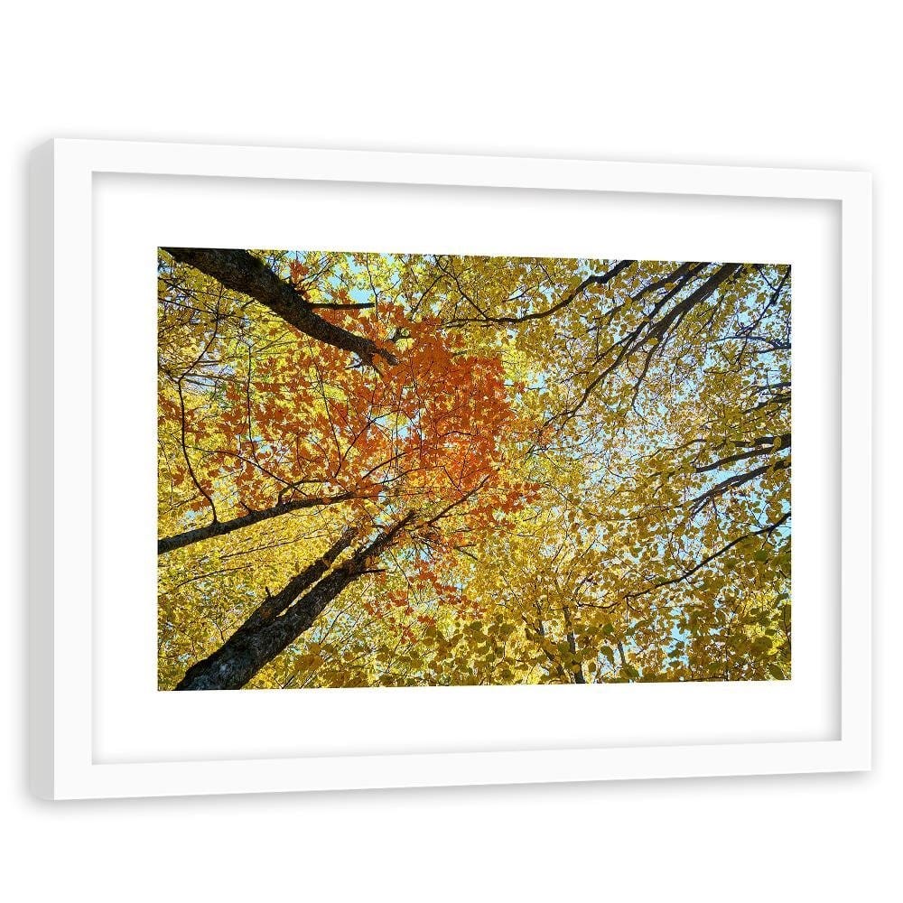 Glezna baltā rāmī - The Tops Of The Trees In Autumn  Home Trends DECO