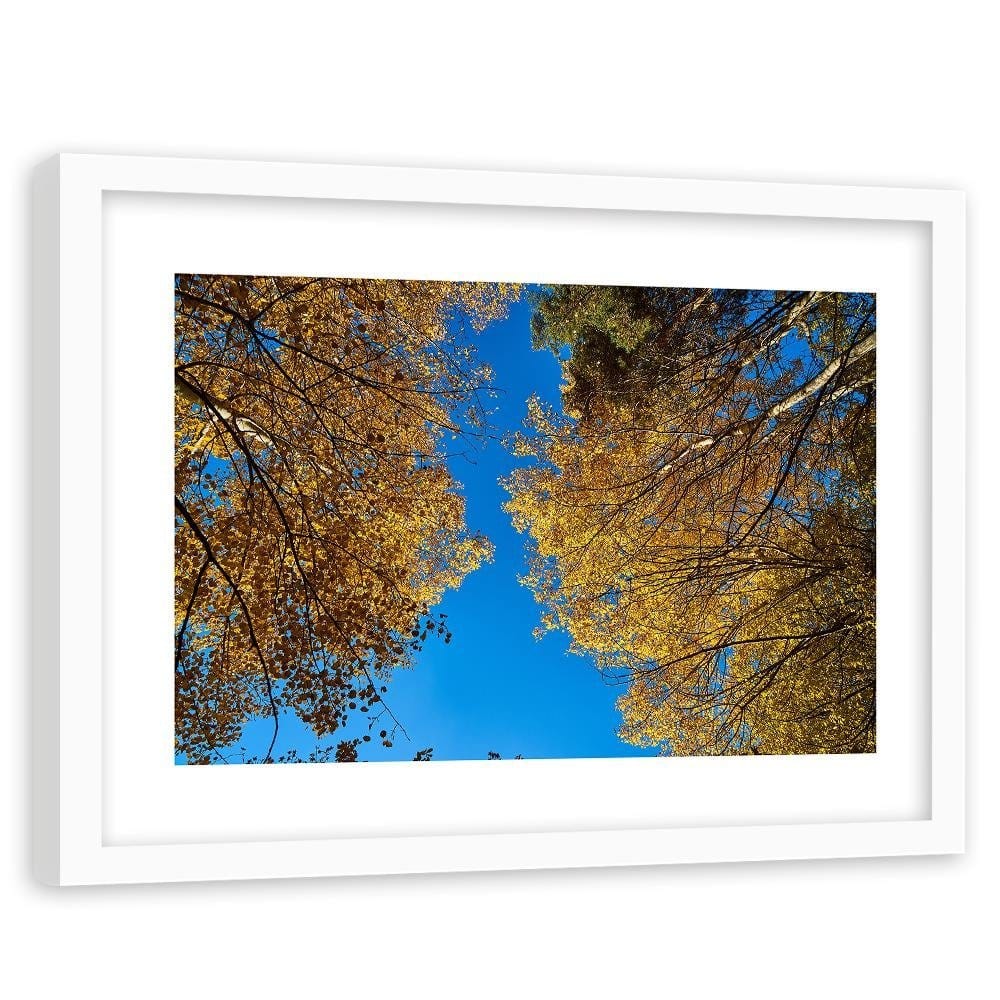 Glezna baltā rāmī - The Tops Of Trees In Autumn  Home Trends DECO