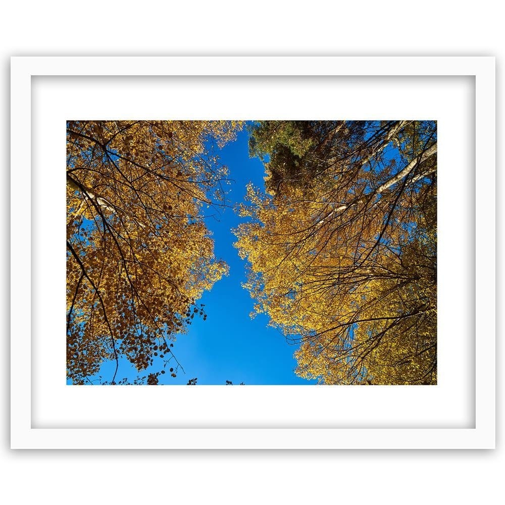 Glezna baltā rāmī - The Tops Of Trees In Autumn  Home Trends DECO