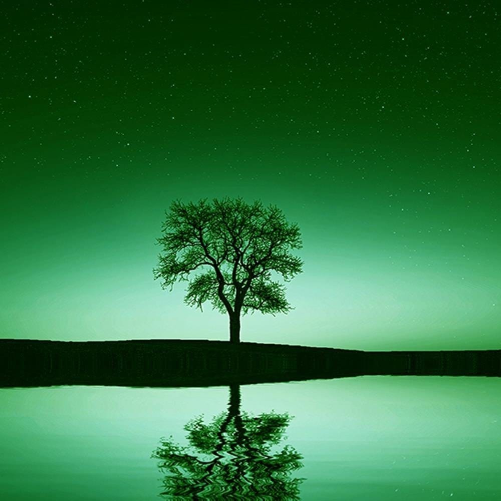 Glezna baltā rāmī - The Tree Under Starry Skies 3  Home Trends DECO