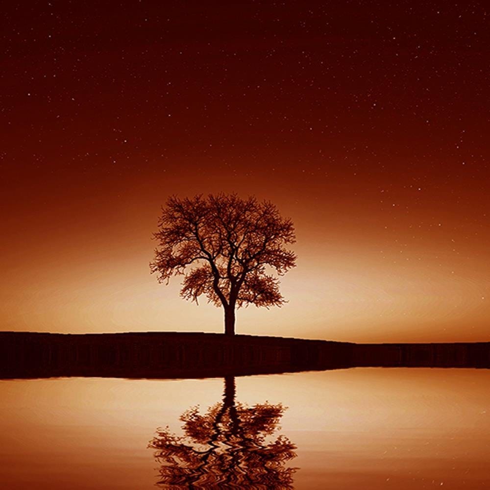 Glezna baltā rāmī - The Tree Under Starry Skies 4  Home Trends DECO