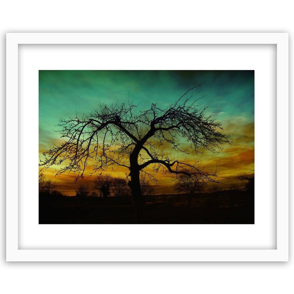 Glezna baltā rāmī - Tree At Dusk  Home Trends DECO