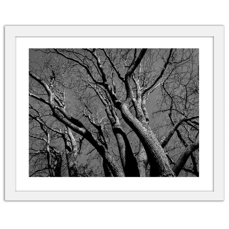 Glezna baltā rāmī - Tree crown 2  Home Trends DECO