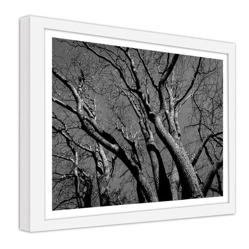 Glezna baltā rāmī - Tree crown 2  Home Trends DECO