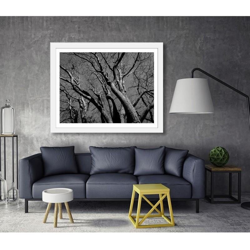 Glezna baltā rāmī - Tree crown 2  Home Trends DECO