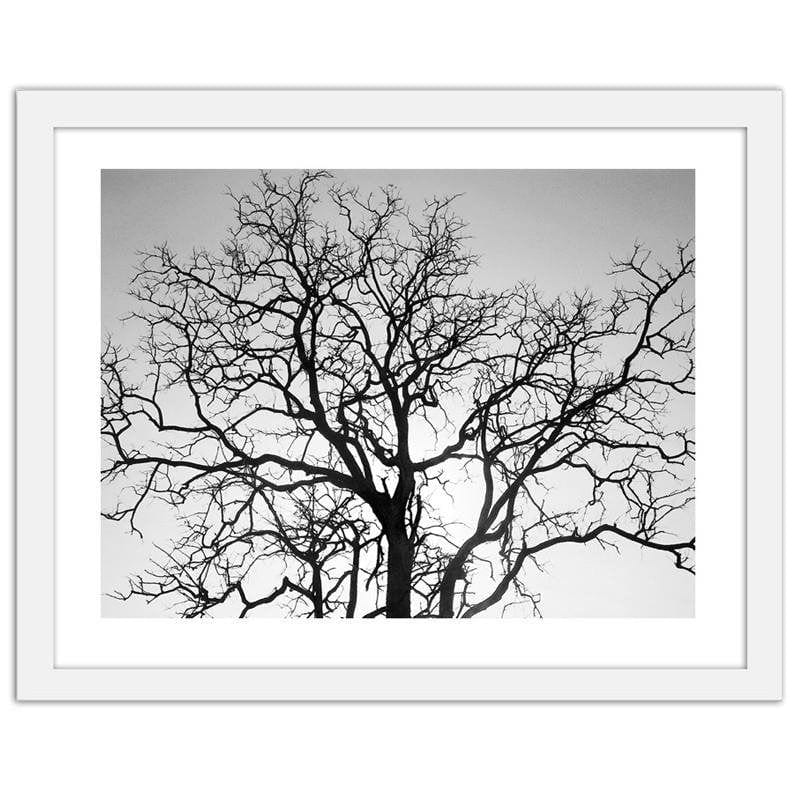 Glezna baltā rāmī - Tree crown  Home Trends DECO