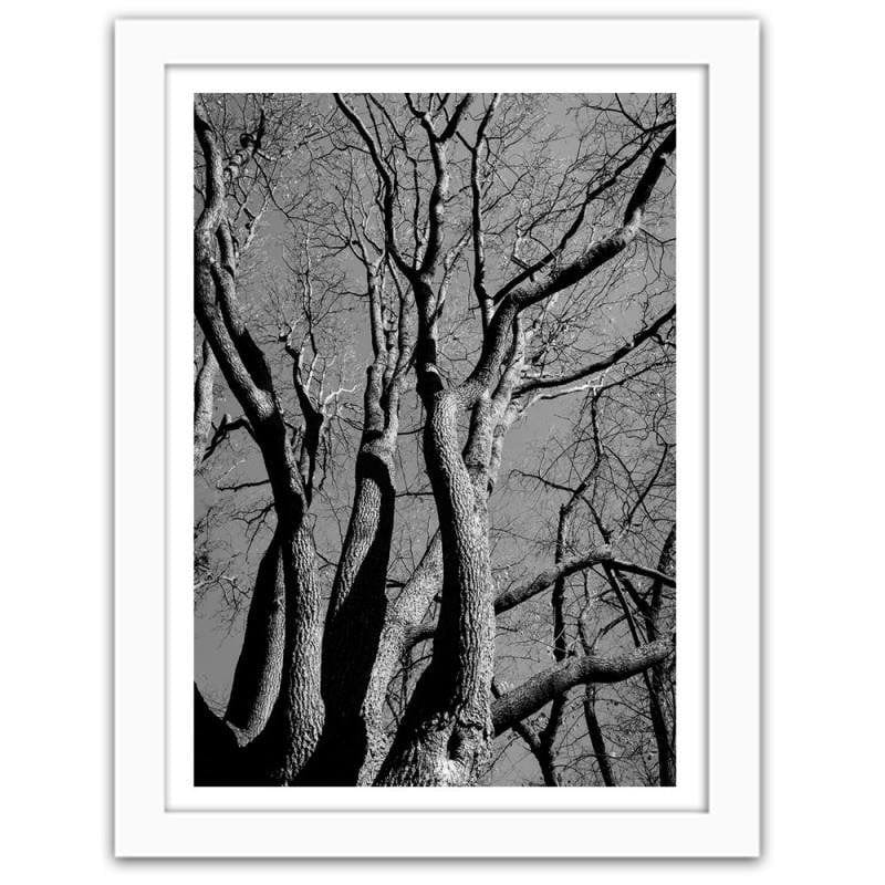 Glezna baltā rāmī - Tree crown in black and white  Home Trends DECO