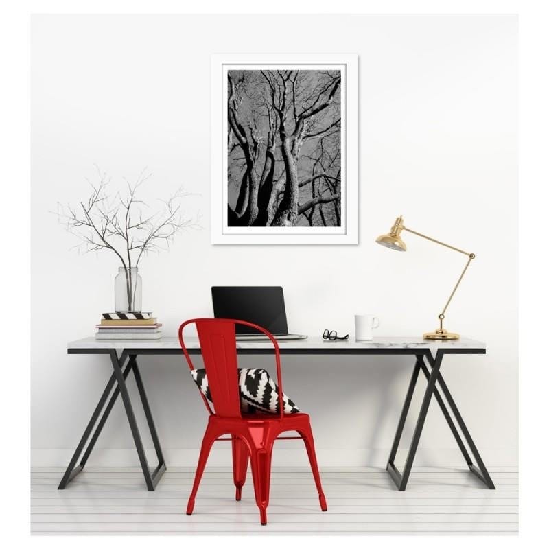 Glezna baltā rāmī - Tree crown in black and white  Home Trends DECO