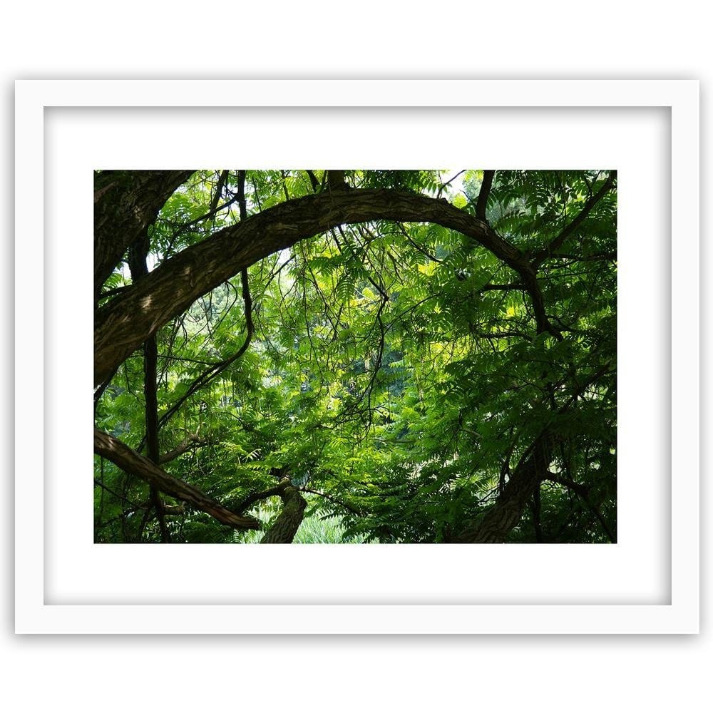 Glezna baltā rāmī - Tree In The Jungle  Home Trends DECO