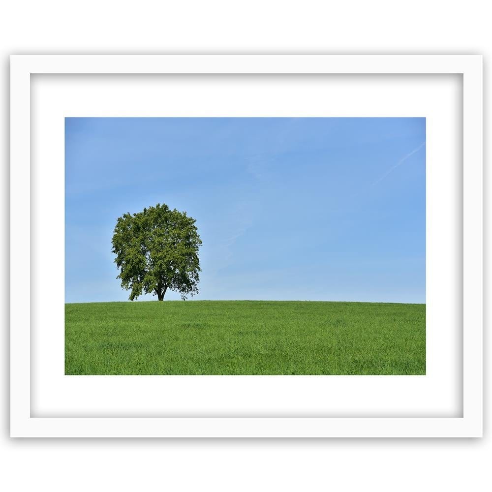 Glezna baltā rāmī - Tree On The Meadow  Home Trends DECO