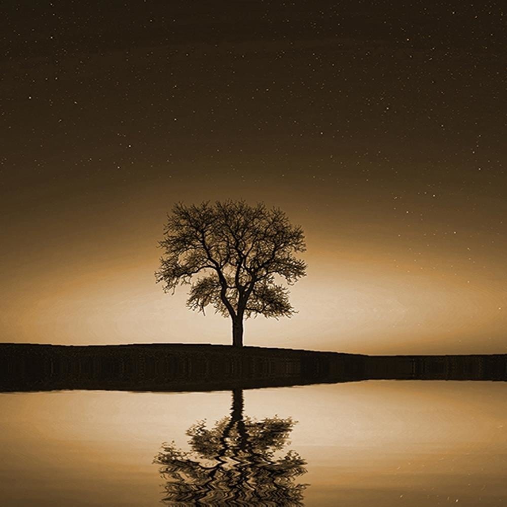 Glezna baltā rāmī - Tree Under The Starry Sky 1  Home Trends DECO
