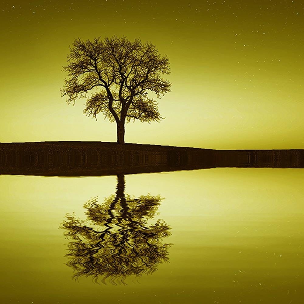 Glezna baltā rāmī - Tree Under The Starry Sky  Home Trends DECO