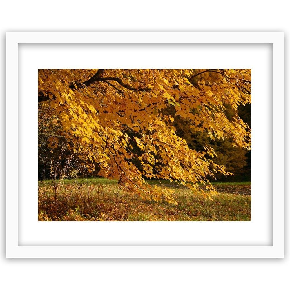 Glezna baltā rāmī - Tree With Yellow Leafs  Home Trends DECO