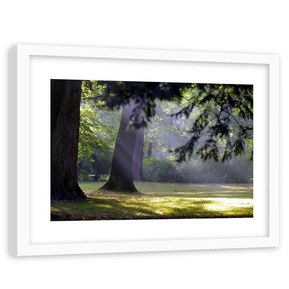 Glezna baltā rāmī - Trees In The Park  Home Trends DECO