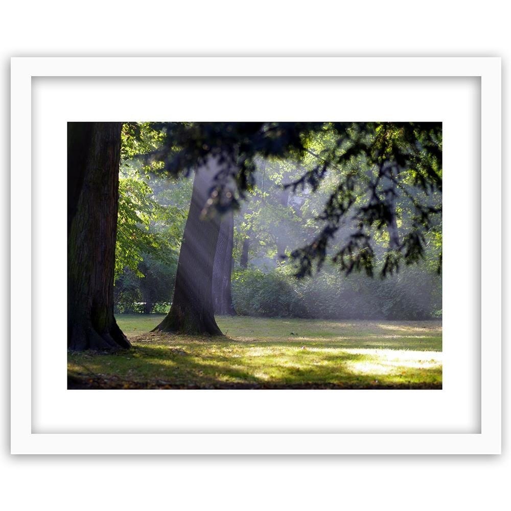 Glezna baltā rāmī - Trees In The Park  Home Trends DECO