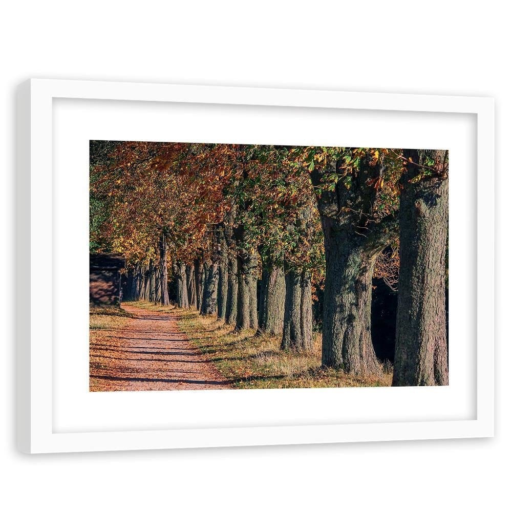 Glezna baltā rāmī - Trees In The Park In Autumn  Home Trends DECO