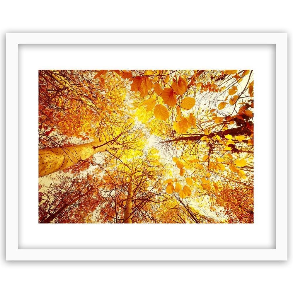 Glezna baltā rāmī - Trees With Leaves Yellowed  Home Trends DECO
