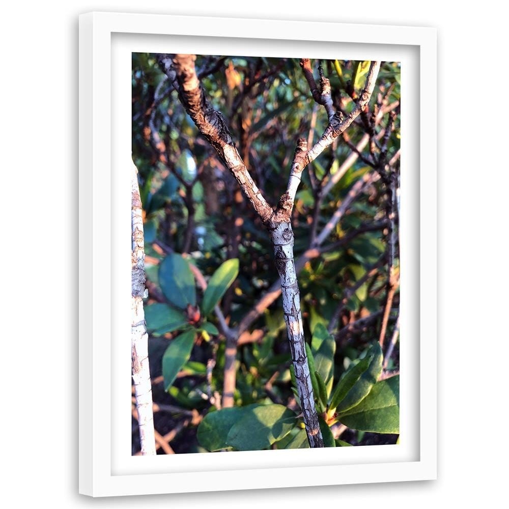 Glezna baltā rāmī - Twig Bush  Home Trends DECO