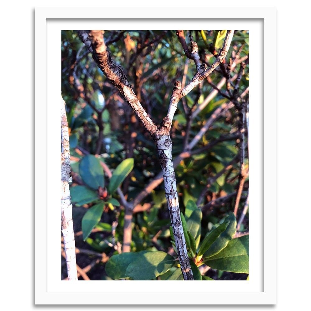 Glezna baltā rāmī - Twig Bush  Home Trends DECO