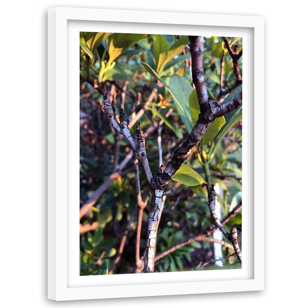 Glezna baltā rāmī - Twig Bush  Home Trends DECO