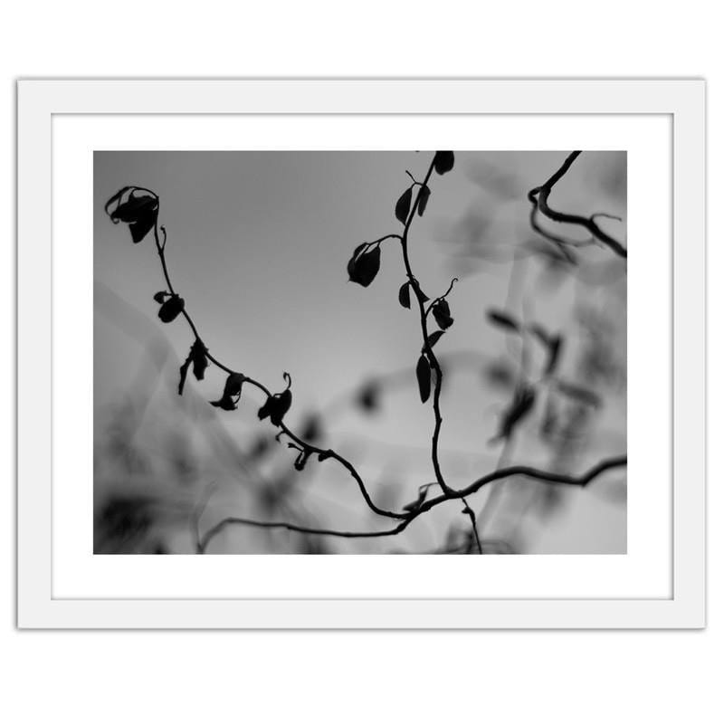 Glezna baltā rāmī - Twig on grey background 2  Home Trends DECO